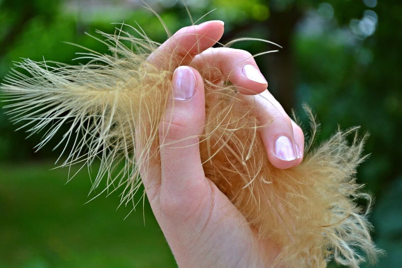 A hand with pale, glossy almond nails holding a soft feather against green leaves